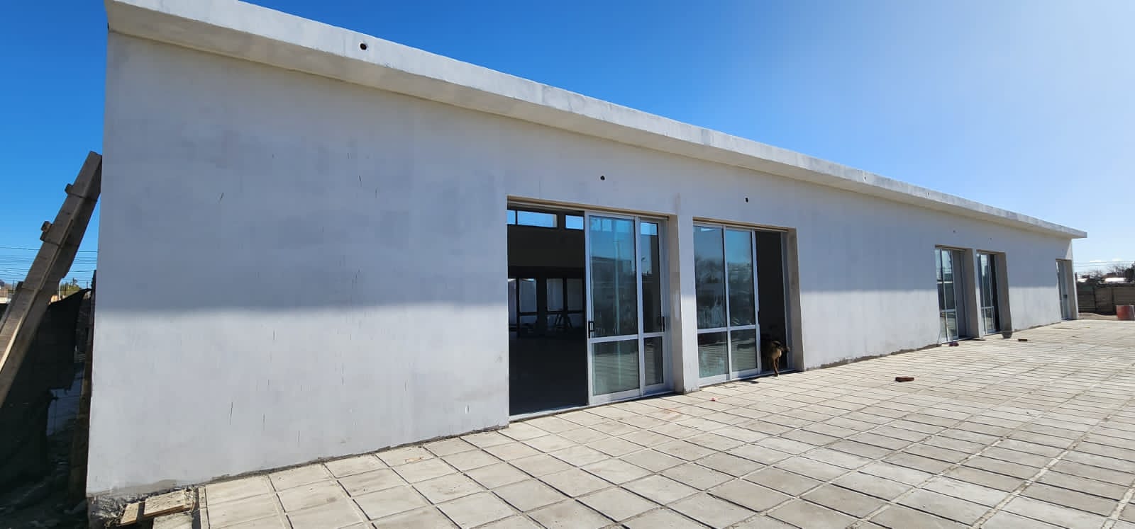 Jardin 910 Patagones 2